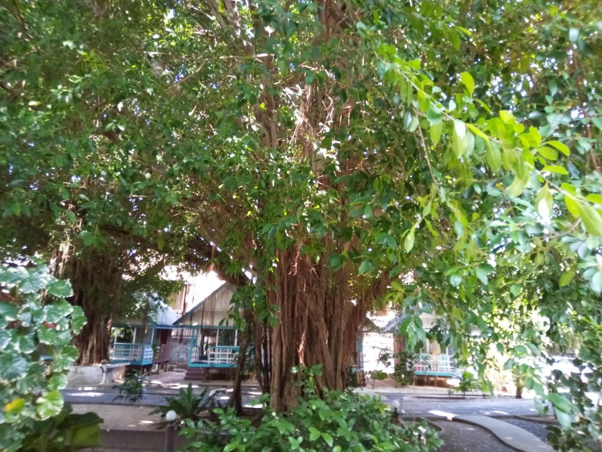 לאמאי ביץ' Blu' Beach Bungalows מראה חיצוני תמונה