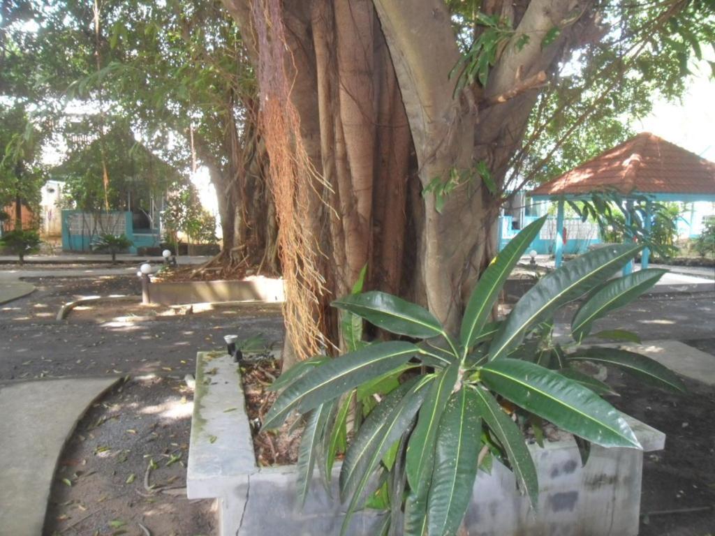 לאמאי ביץ' Blu' Beach Bungalows מראה חיצוני תמונה