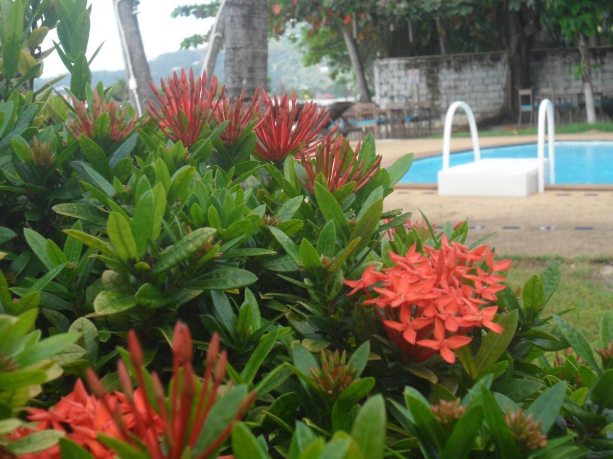 לאמאי ביץ' Blu' Beach Bungalows מראה חיצוני תמונה